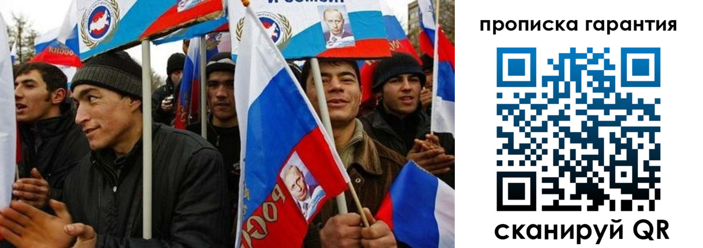 прописка поиск в Пионерском